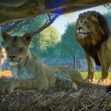 Игра Planet Zoo PC, Steam Gift регион Россия, РФ