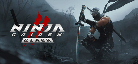 NINJA GAIDEN 2 Black, Steam Gift