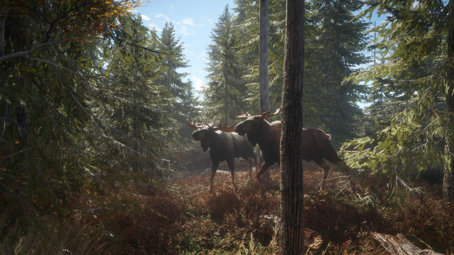 theHunter: Call of the Wild™, Steam Gift