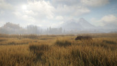 theHunter: Call of the Wild™, Steam Gift