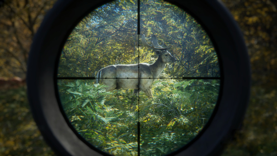 theHunter: Call of the Wild™, Steam Gift