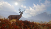 theHunter: Call of the Wild™, Steam Gift