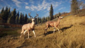 theHunter: Call of the Wild™, Steam Gift