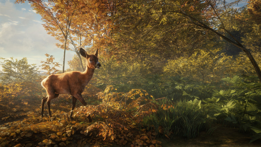 theHunter: Call of the Wild™, Steam Gift