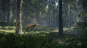 theHunter: Call of the Wild™, Steam Gift