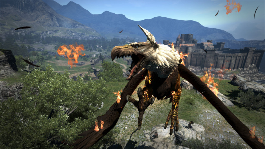 Dragon's Dogma: Dark Arisen, Steam Gift