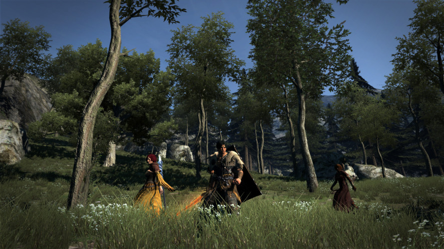Dragon's Dogma: Dark Arisen, Steam Gift