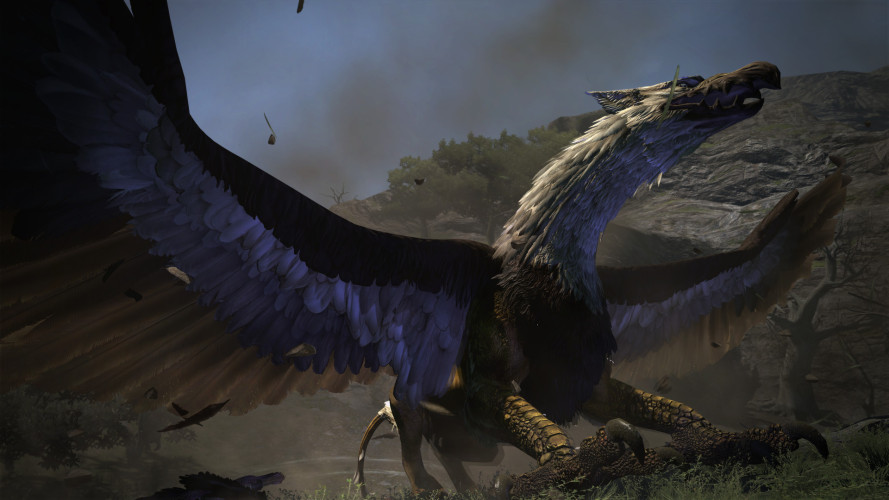 Dragon's Dogma: Dark Arisen, Steam Gift