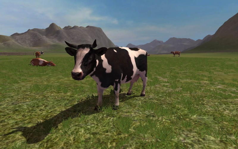 Farming Simulator 2011, Steam Gift