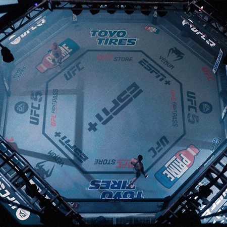 Игра UFC 5 Ultimate Edition PlayStation 5