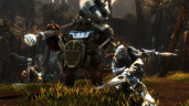 Kingdoms of Amalur: Re-Reckoning, Steam Gift