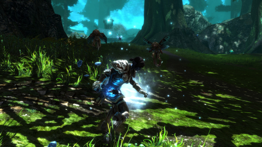 Kingdoms of Amalur: Re-Reckoning, Steam Gift