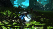 Kingdoms of Amalur: Re-Reckoning, Steam Gift