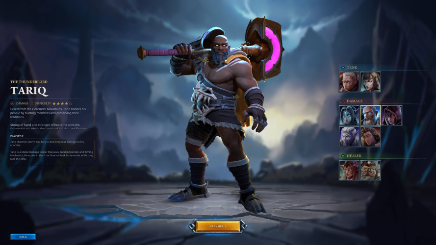 Fellowship - Supporter Edition, Steam Gift