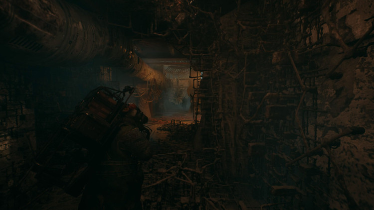 The Forever Winter, Steam Gift