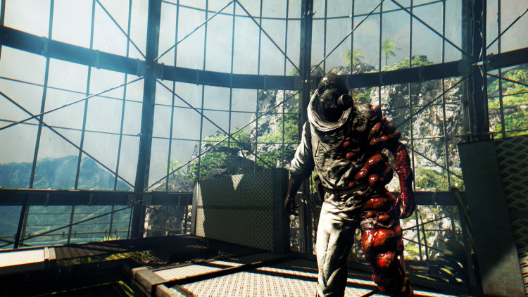 Dead Island: Riptide Definitive Edition, Steam Gift