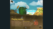 Reach for the Sun, Steam Gift