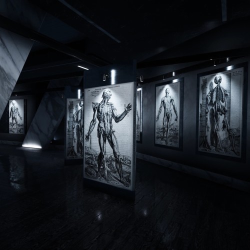 Игра TREPANG2 для PC / ПК, активация в стим Steam для региона РФ / Россия цифровой ключ