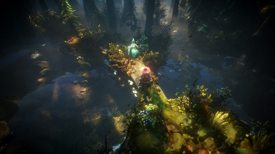 No Rest for the Wicked, Steam Gift