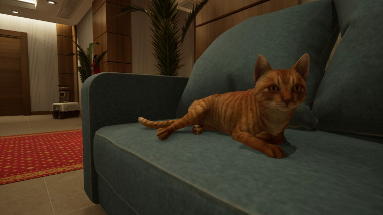 Anomaly Company, Steam Gift