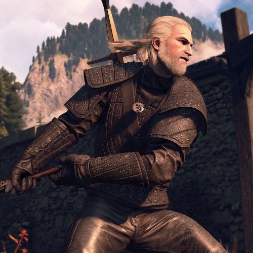 DLC Дополнение The Witcher 3: Wild Hunt - New Finisher Animations PC, Steam Gift регион Россия, РФ