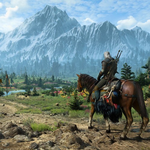 DLC Дополнение The Witcher 3: Wild Hunt - New Finisher Animations PC, Steam Gift регион Россия, РФ