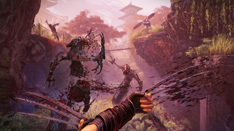Shadow Warrior 2, Steam Gift
