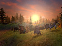 SpellForce - Platinum Edition, Steam Gift
