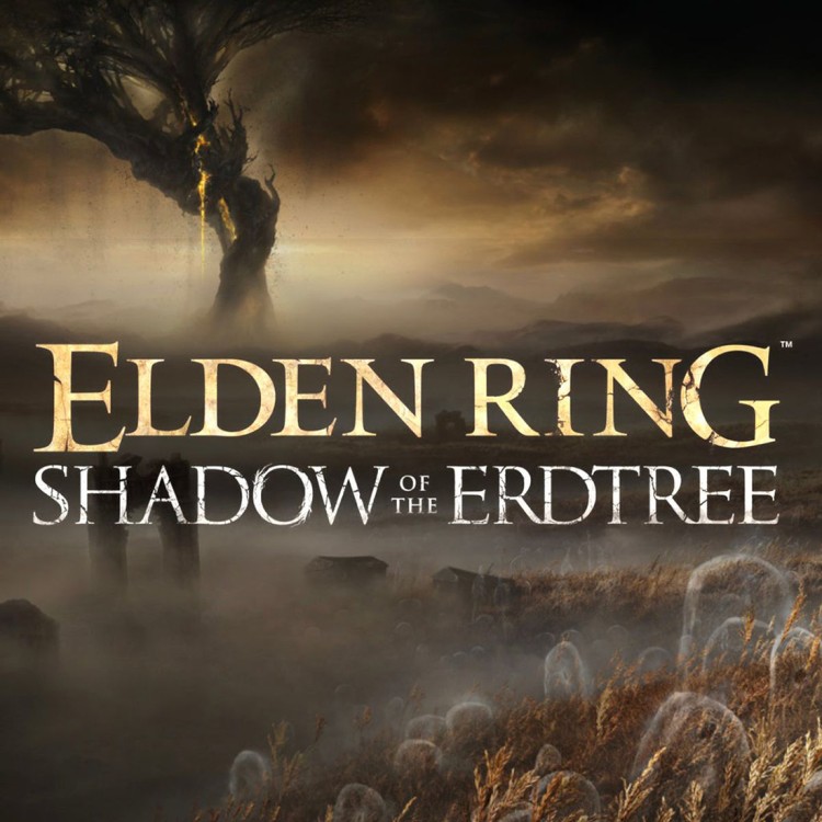 DLC Дополнение ELDEN RING Shadow of the Erdtree PC, Steam Gift регион Россия, РФ