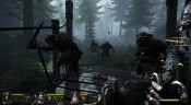Warhammer: End Times - Vermintide - Collector's Edition, Steam Gift