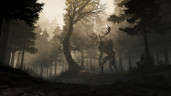 GreedFall, Steam Gift