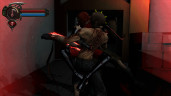 BloodRayne 2: Terminal Cut, Steam Gift