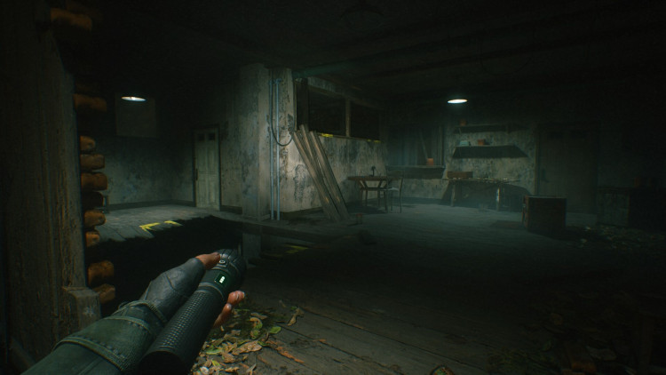 A Quiet Place: The Road Ahead, Steam Gift