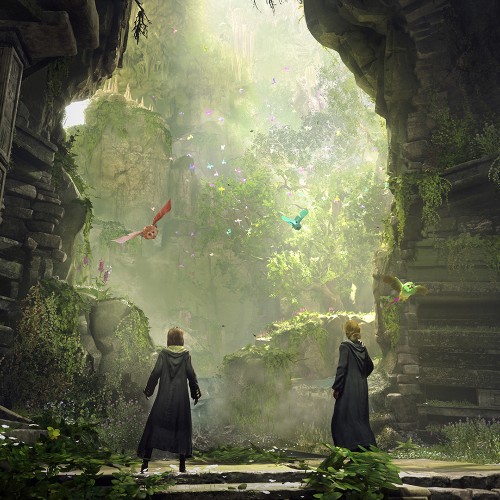 Hogwarts Legacy Xbox One