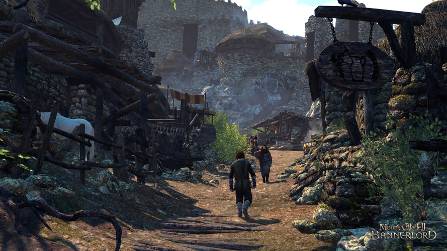 Mount & Blade II: Bannerlord, Steam Gift