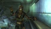 Fallout 3: Game of the Year Edition, Steam Gift