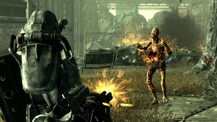 Fallout 3: Game of the Year Edition, Steam Gift