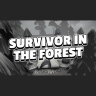 Игра Survivor in the Forest PC, Steam Gift регион Россия, РФ