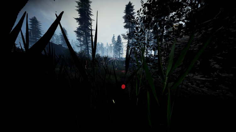 Z.O.N.A: Origin, Steam Gift