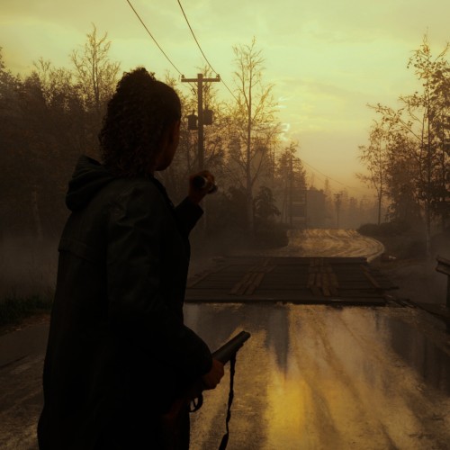 Alan Wake 2 Standart Edition