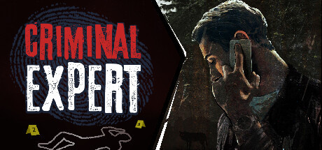 Criminal Expert, Steam Gift