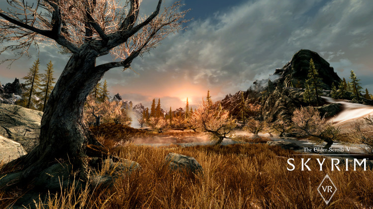 The Elder Scrolls V: Skyrim VR, Steam Gift