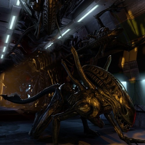 Игра Aliens: Colonial Marines для PC / ПК, активация в стим Steam для региона РФ / Россия цифровой ключ