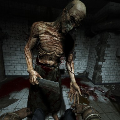 Игра Outlast PC, Steam Gift регион Россия, РФ