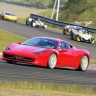 Игра Assetto Corsa для PC / ПК, активация в стим Steam для региона РФ / Россия цифровой ключ