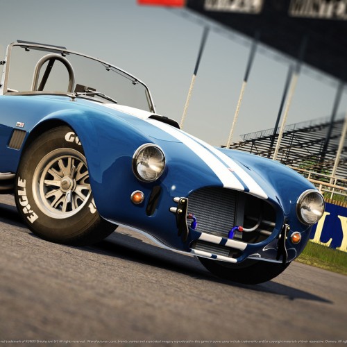Игра Assetto Corsa для PC / ПК, активация в стим Steam для региона РФ / Россия цифровой ключ