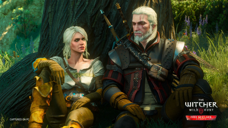 The Witcher 3: Wild Hunt - Game of the Year Edition - Commercial License, Steam Gift