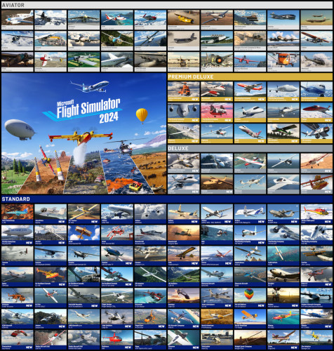Microsoft Flight Simulator 2024 - Deluxe Edition, Steam Gift