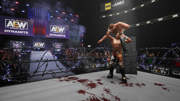 AEW: Fight Forever, Steam Gift