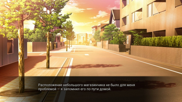 My Summer Adventure: Memories of Another Life, Steam Gift